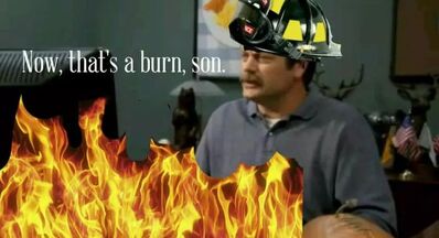 Now thats a burn son