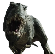 V rex