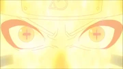 Bmsg Bmsg