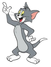 Tom Cat