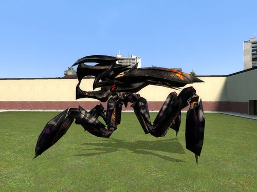 Royal Bug
