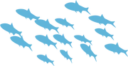 School-of-Fish-PNG-HD