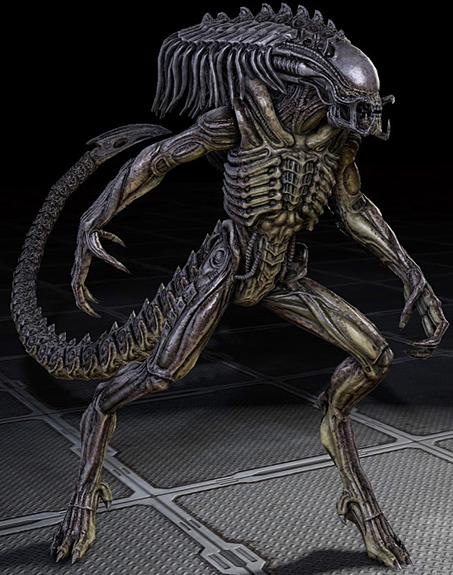 download avp2 predalien