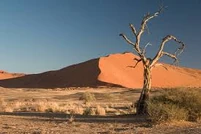 Desert