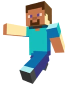 Steve image