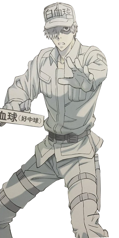 white blood cell from cells at work white blood cell from cells at work