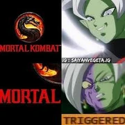Zamasu triggred