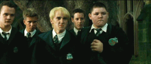 Draco transfigured by Moody into a ferret