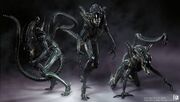 2871551-aliens colonial marines wallpaper-other