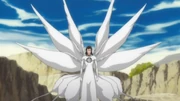 Aizen 3rd form