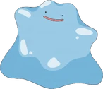 132 Ditto AG Shiny