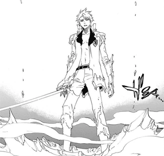 671Adult Hitsugaya