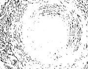 Unmanifest Presence Unmanifest Presence