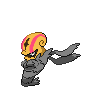 Accelgor NB variocolor