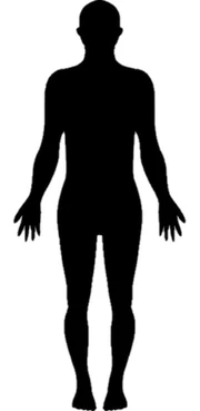 CompositeHuman CompositeHuman