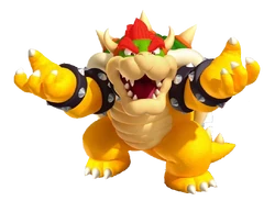 Bowser sm3dl