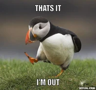 Puffin-meme-generator-thats-it-i-m-out-cadfc1