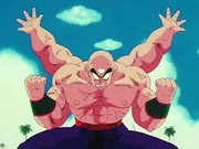 Tien4 arms