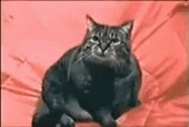 Flahbacksssse