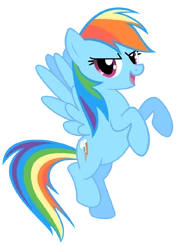 Rainbow Dash by Nethear