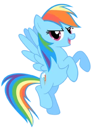 Rainbow Dash by Nethear Rainbow Dash by Nethear