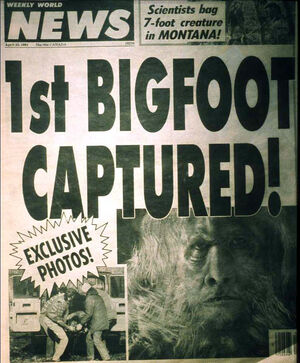 Bigfoot captured1