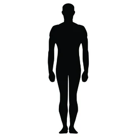 Human-images-free-vector-human-silhouette-freevectors-free