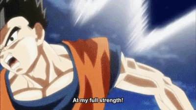 GohanForces GohanForces