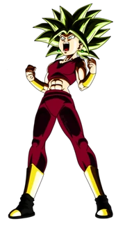 KeflaSSJ2+B
