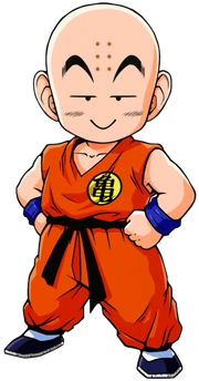 Kid Krillin