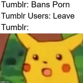 TgCK8n0