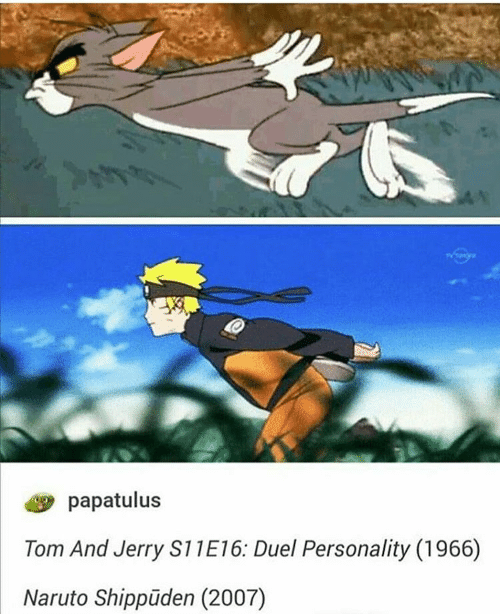 Tom caturo run