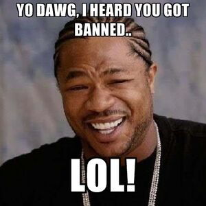 Yo-dawg-i-heard-you-got-banned-lol