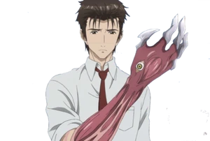 Shinichi izumi and migi kiseijuu by ryuzakihotaro-d89c124