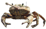 Crab tank