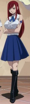 Erza Scarlet Anime Pre Timeskip Infobox