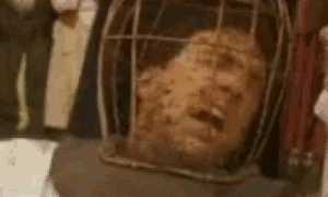 Not the bees
