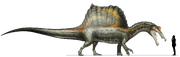 Spinosaurus Davide Bonadonna