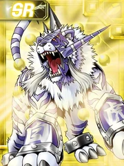 Baihumon ex2 collectors card