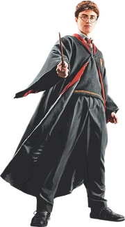 Harry in Robe with Wand Front View (Painting) - Harry Potter and the Half-Blood Prince 