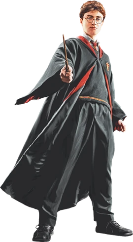 Harry in Robe with Wand Front View (Painting) - Harry Potter and the Half-Blood Prince 