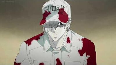 Cells At Work- Cancer Cell's Death Scene *cries*-0