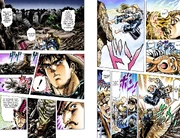 8 (5)