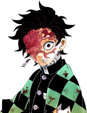 Post-Hinokami Kagura Mastery Tanjirou