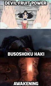 Nico-Robin's-Awakened-Devil-Fruit Nico-Robin's-Awakened-Devil-Fruit