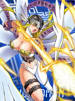 Angewomon collectors card2