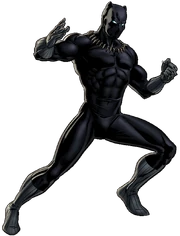 Black Panther Portrait Art