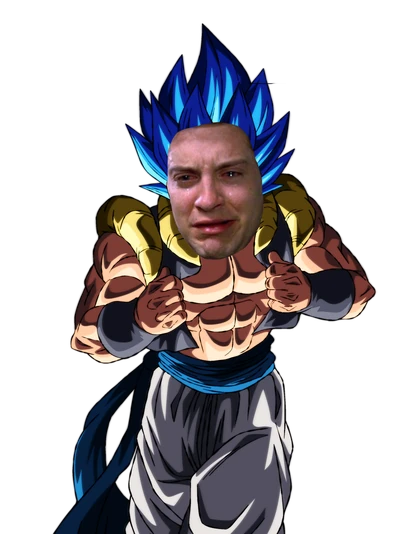 Gogeta Lloron