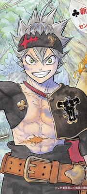 Asta after Heart Kingdom training