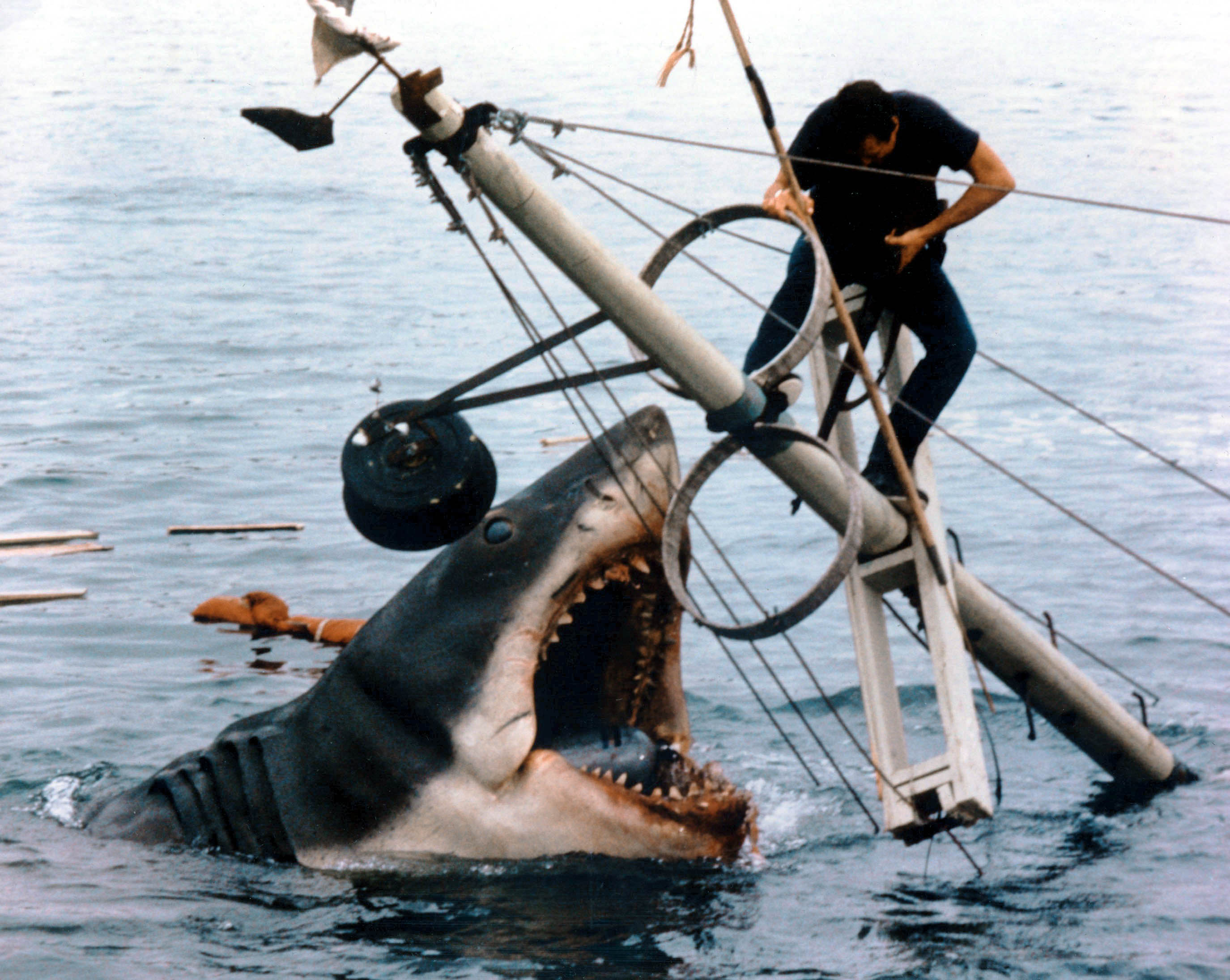 megalodon vs bruce jaws vs battles wiki fandom powered by wikia